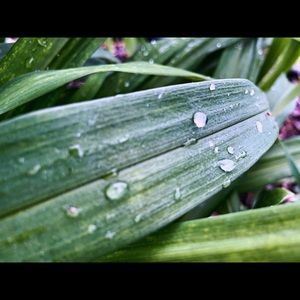 Meet your Posher, Joshua